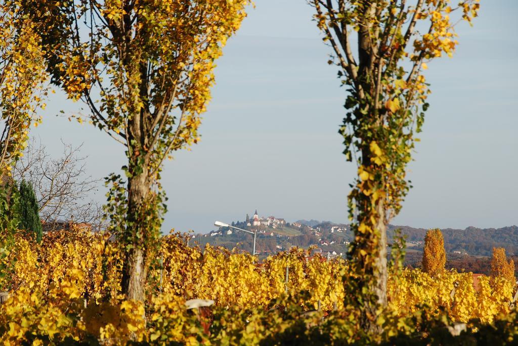 KlöchWinzerhof Familie Kloeckl公寓 外观 照片