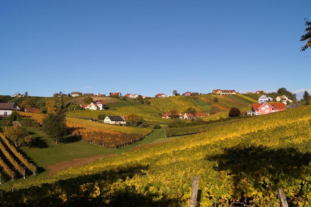 KlöchWinzerhof Familie Kloeckl公寓 外观 照片