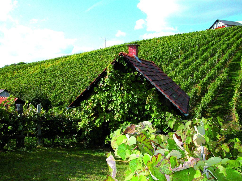 KlöchWinzerhof Familie Kloeckl公寓 外观 照片