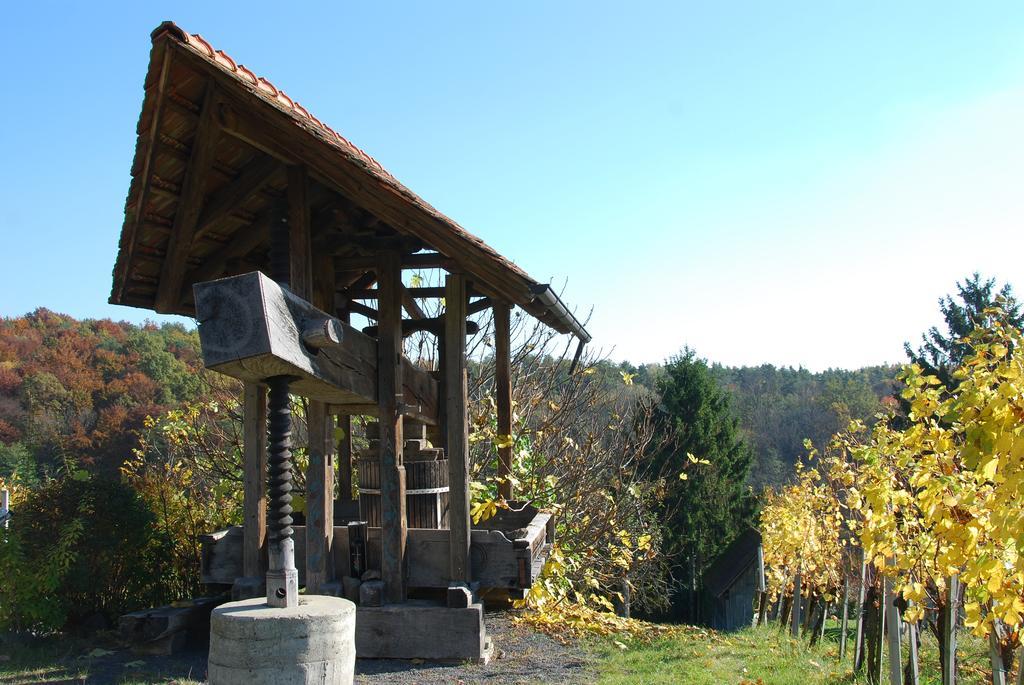 KlöchWinzerhof Familie Kloeckl公寓 外观 照片