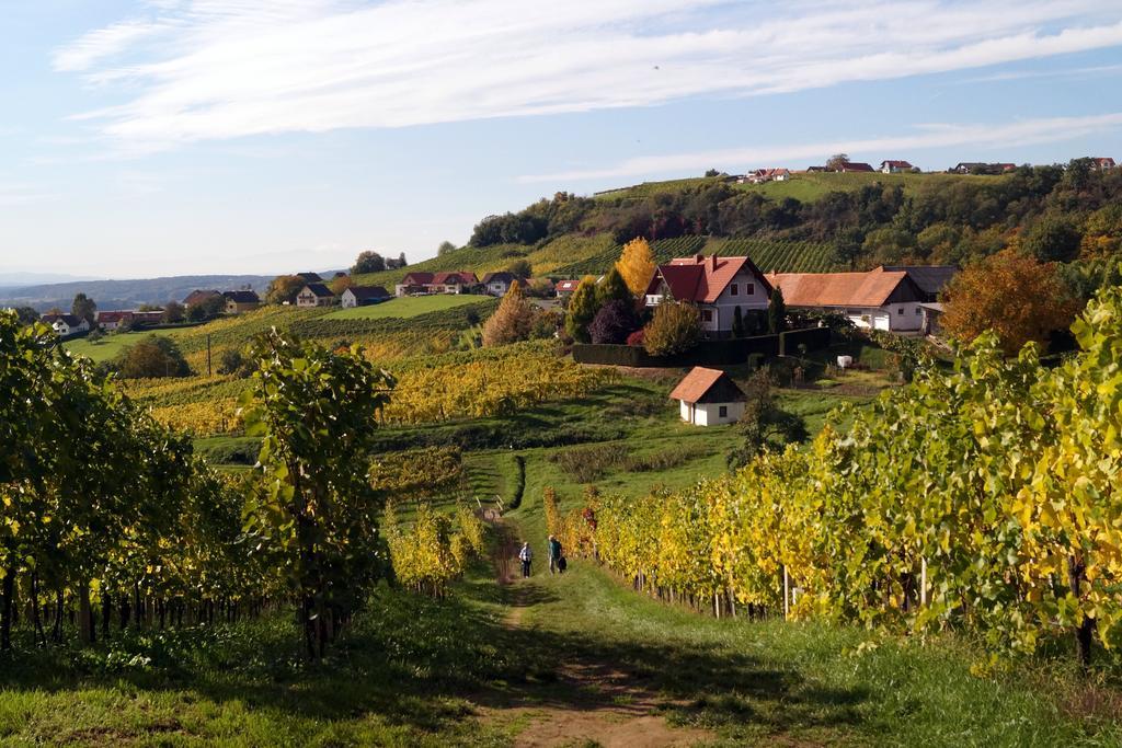 KlöchWinzerhof Familie Kloeckl公寓 外观 照片